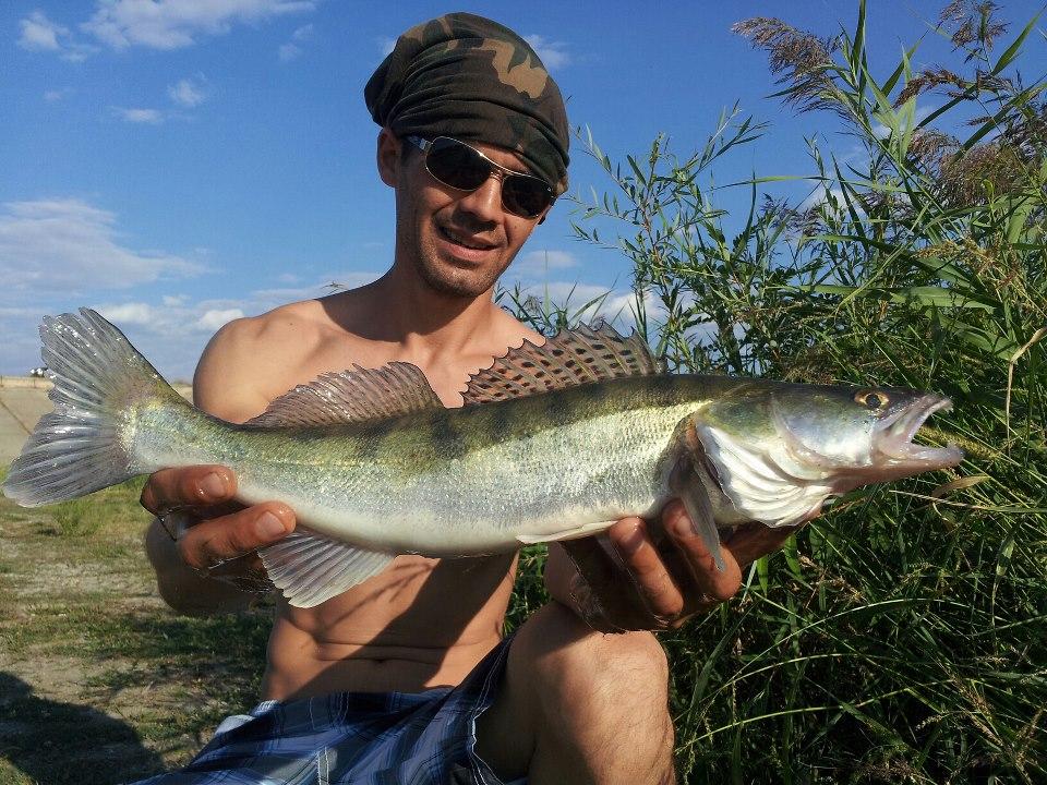 baraj mihailesti - 296722415242015190272986610806n.jpg